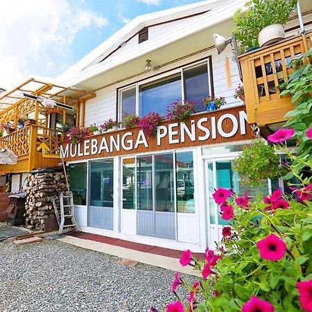 Osakae Anteo Mulraebang-A Pension 襄阳郡 外观 照片